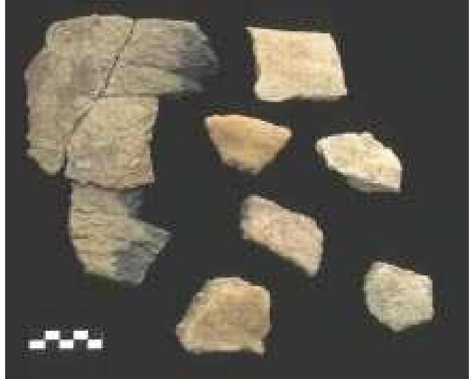 Mahagara (PDF) Mehrgarh Neolithic Mehrgarh Neolithic Mehrgarh Neolithic Mehrgarh ...