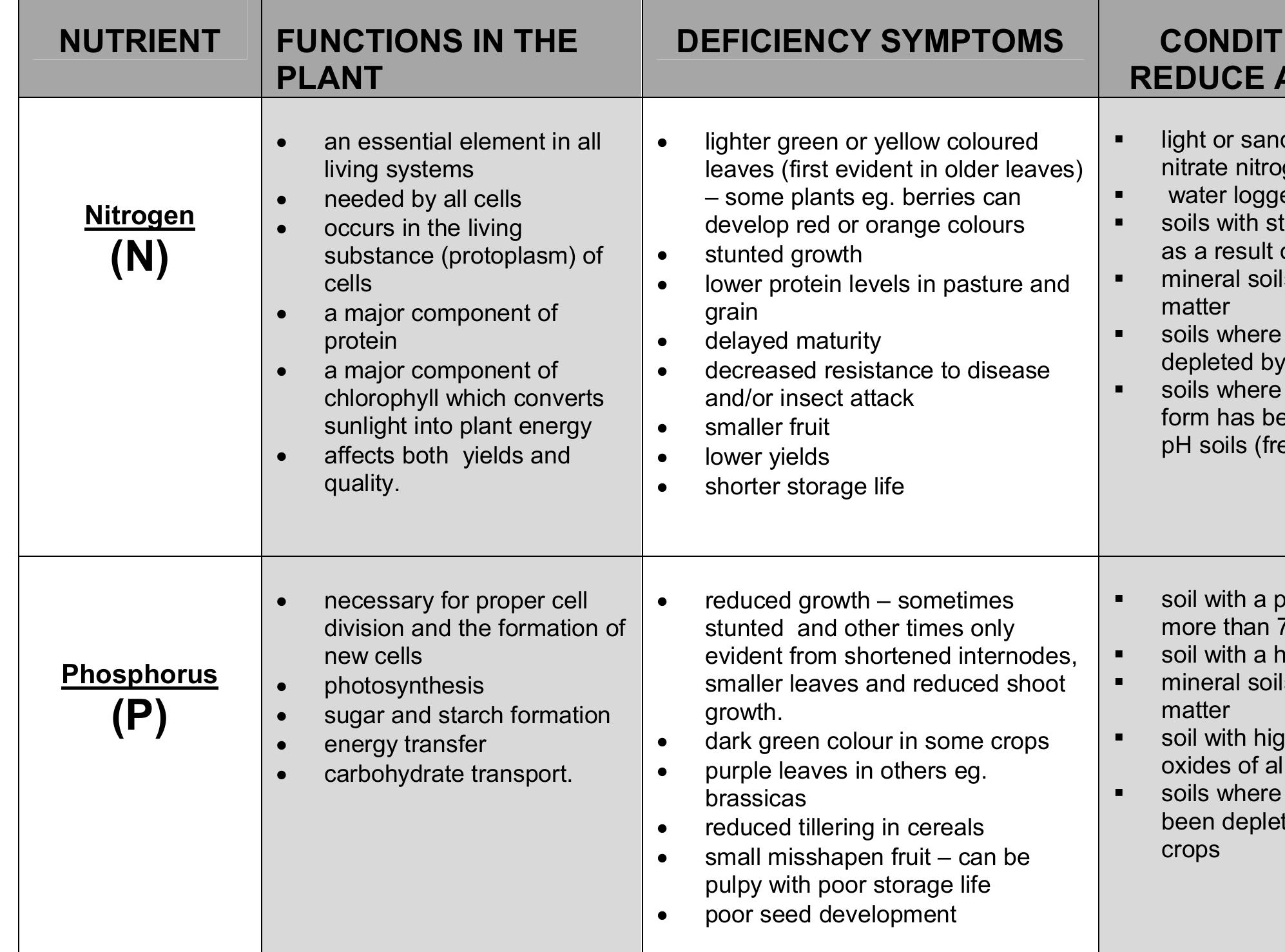 PDF) THE PLANT NUTRIENTS Macro Nutrients