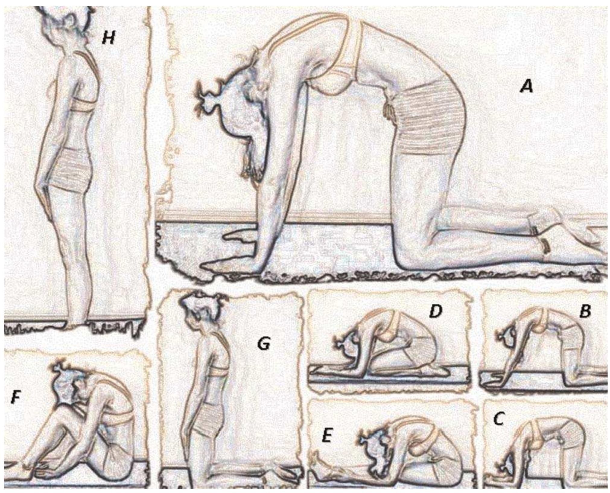 Side views of exercises positions. (a-e) gradual progression
