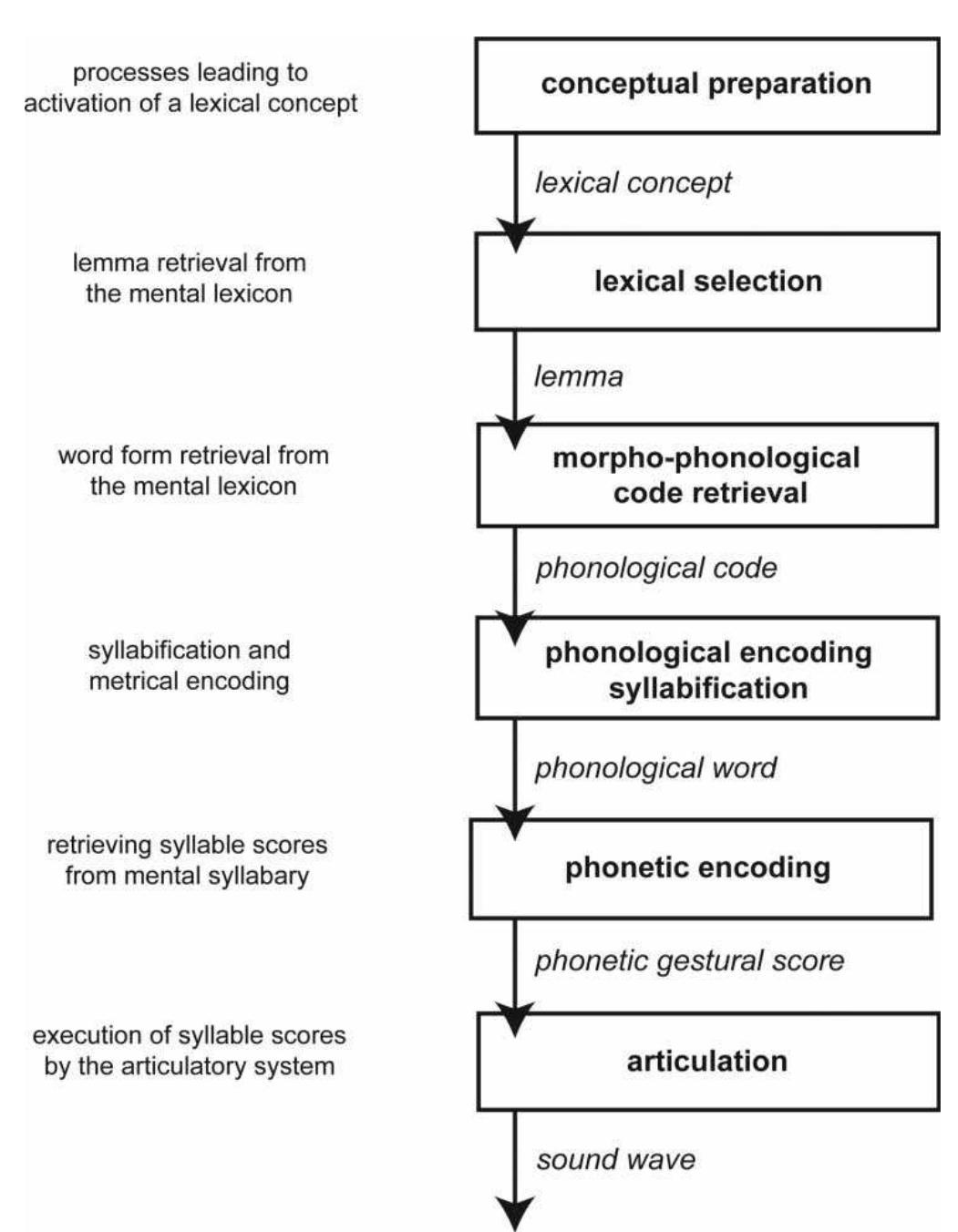A schematic overview of the different processing stages of