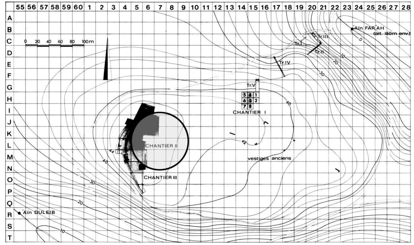 Figure 16. Map of Tell el-Far‘ah (N), showing areas of excavations and the sug- gested location of the Period VIIa settlement in the western, higher sector of the mound. 