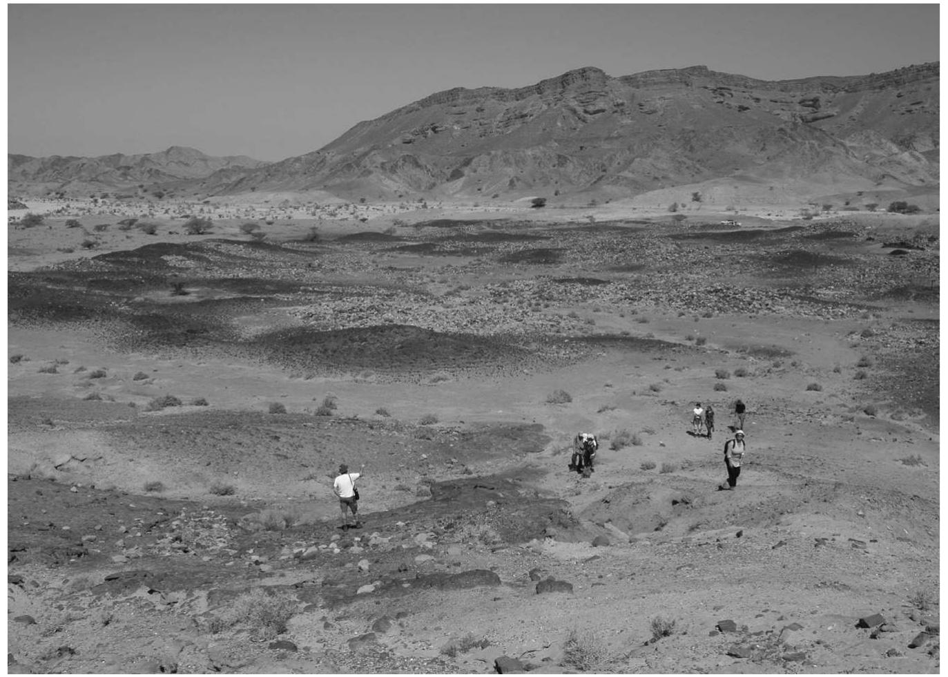 Figure 30. General view of the copper production site of Khirbet en-Nahas in Jordan, south of the Dead Sea. 