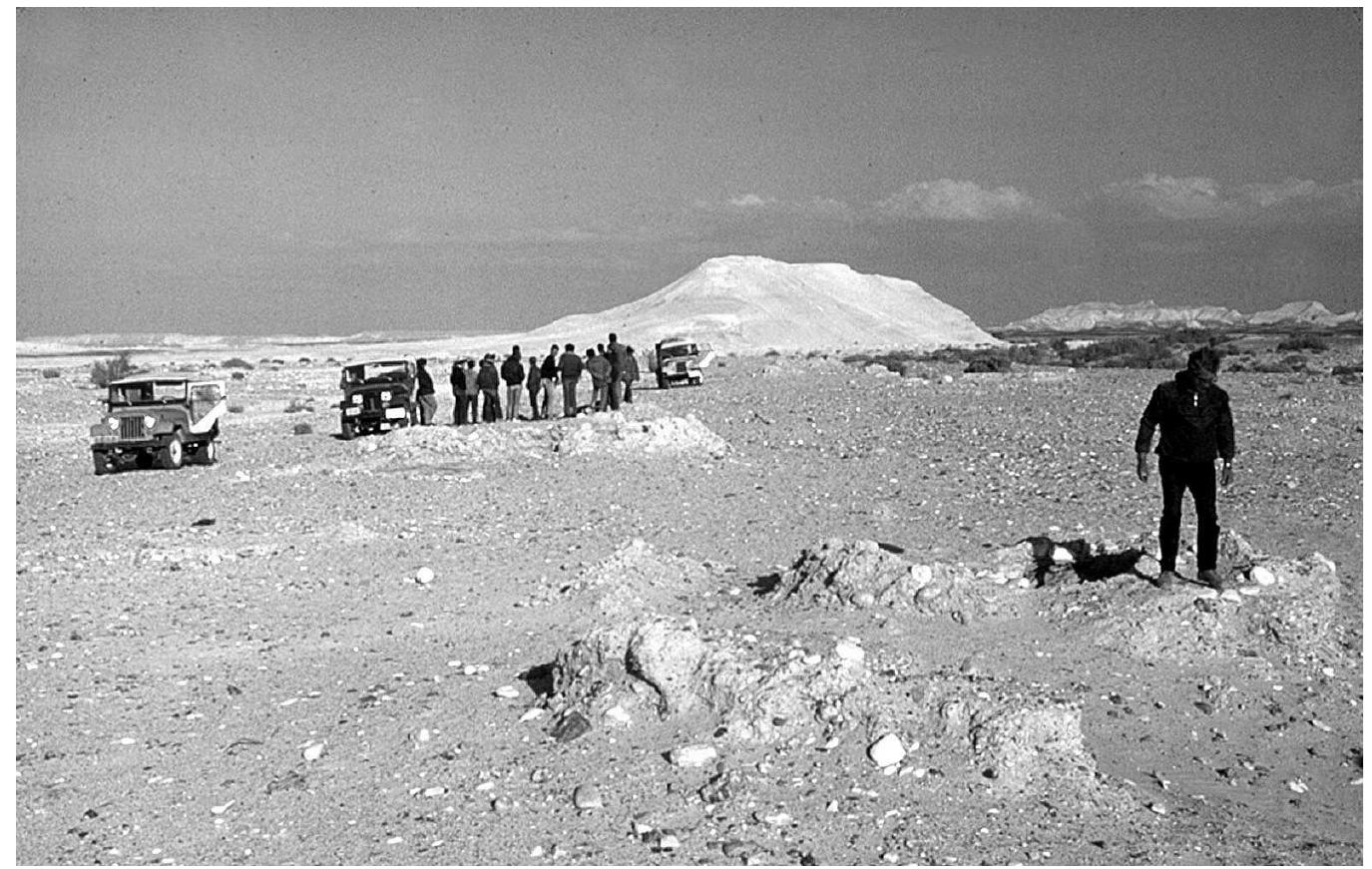 Figure 38. The hill of Kuntillet ‘Ajrud in northeastern Sinai.  THE ARCHAEOLOGY AND HISTORY OF NORTHERN ISRAEL  Thus Naaman (2012a, 4—5, 8-9) identified the monarch hinted at in the inscriptions as the king of Israel, and Beck (2000, 180-81) alluded to the possible appearance of the king of Israel sitting on a throne on a plaster drawing on the entrance wall to the site. Ornan (forthcoming) has recently deciphered more of the Kuntillet ‘Ajrud paintings as representing royal scenes and accordingly interpreted the site as a royal Israelite trade station. The Kuntillet ‘Ajrud finds indicate, therefore, that in the first half of the eighth century, probably in the days of Jeroboam II, Israel controlled the desert trade route along the Darb el-Ghazza and hence its northern outlet.’ 