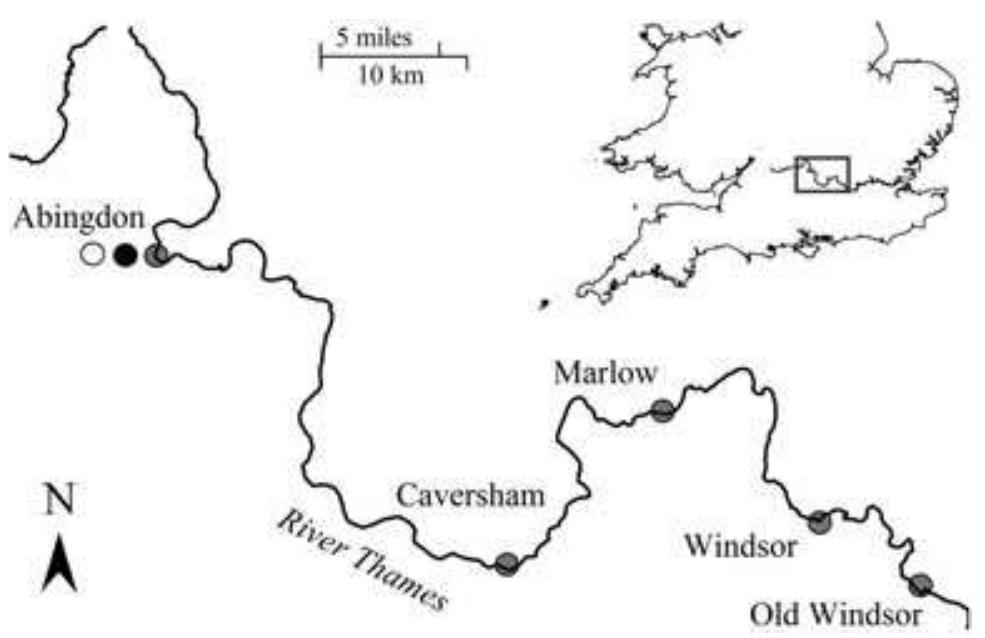 Sampling area and the five sampling locations at the river