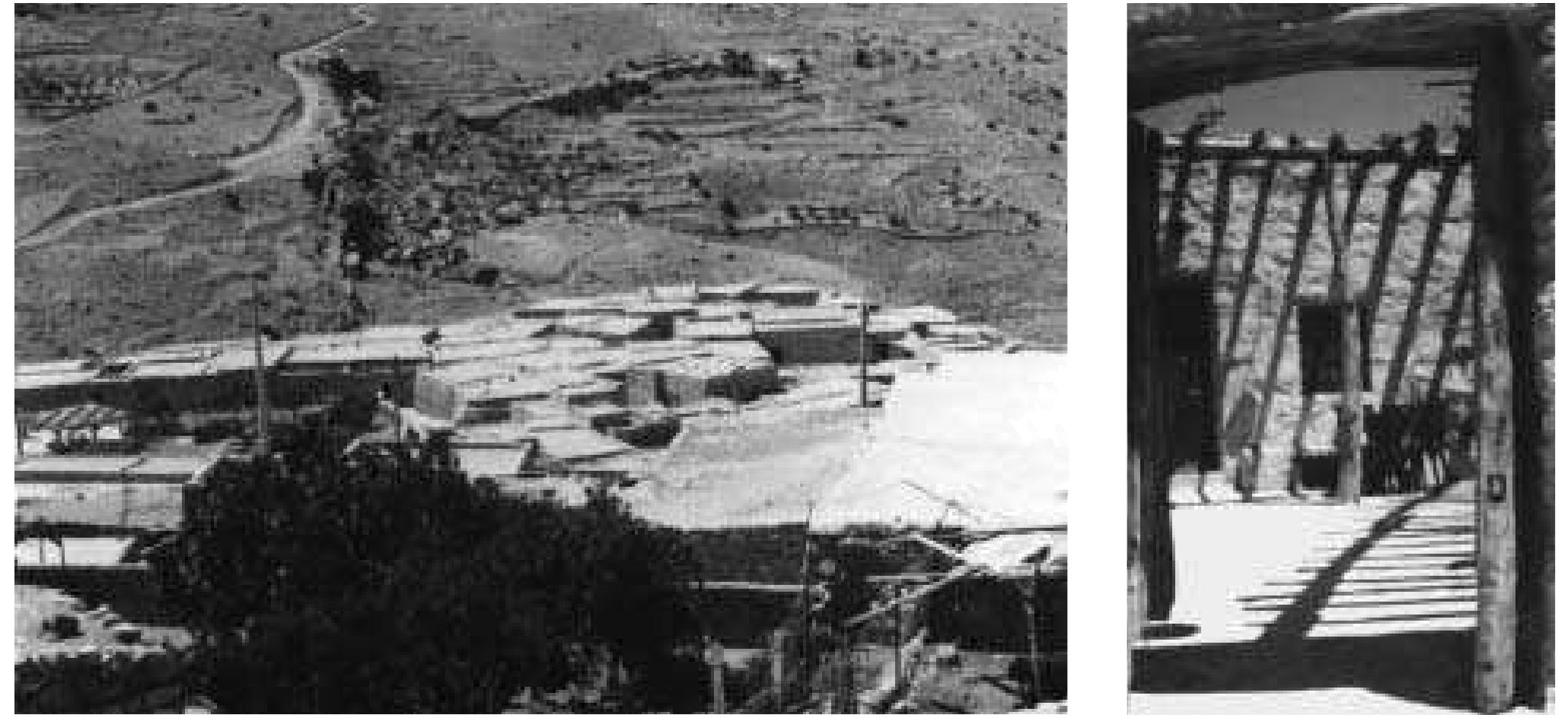 Figure 8 - from Mapping the Bencao