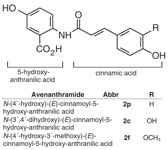 Chemical structure of avenanthramides derived from