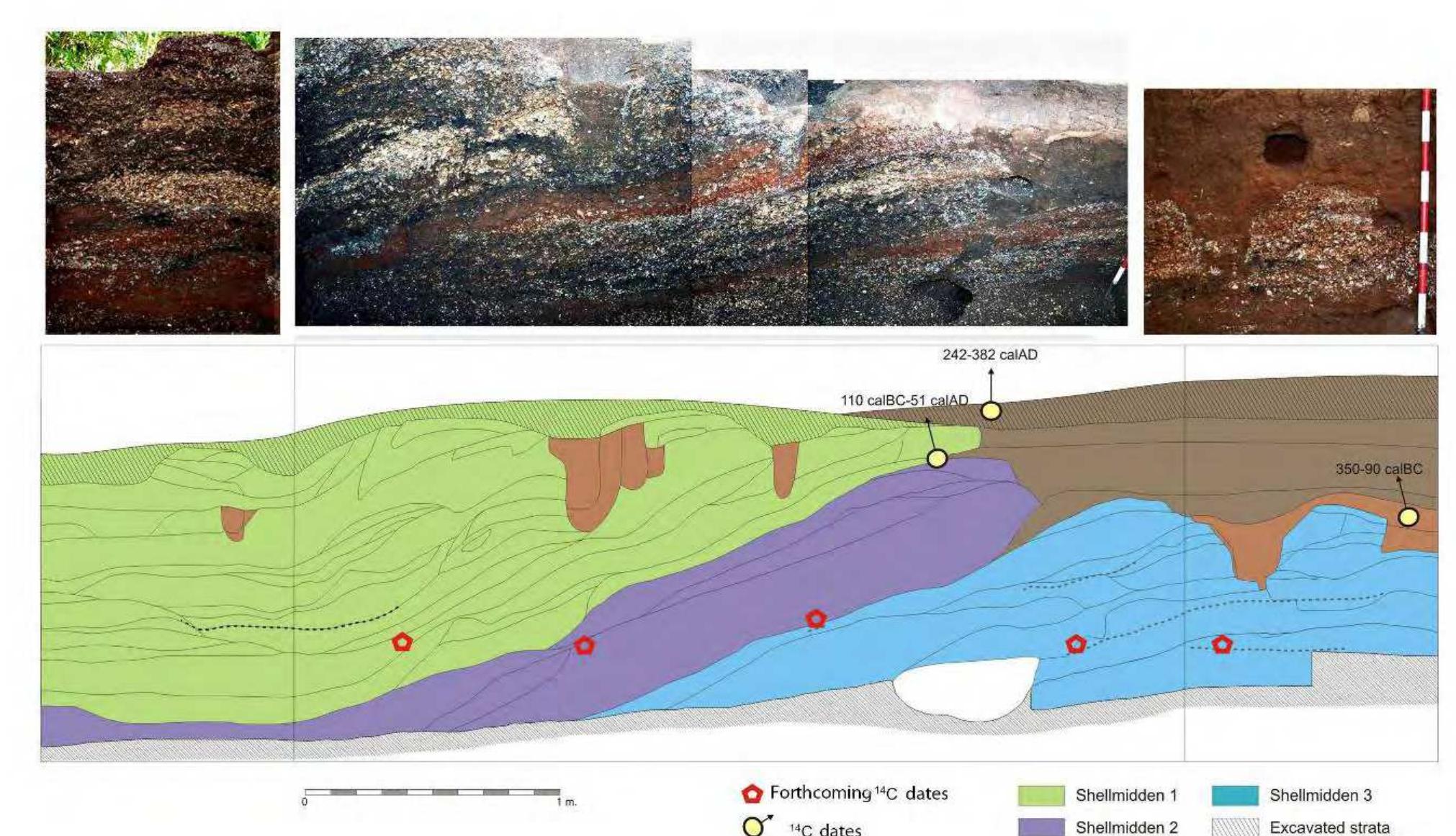 Midden Formation Process (PDF) Prehistoric Shell Middens on the Caribbean Coast of Nicaragua ...