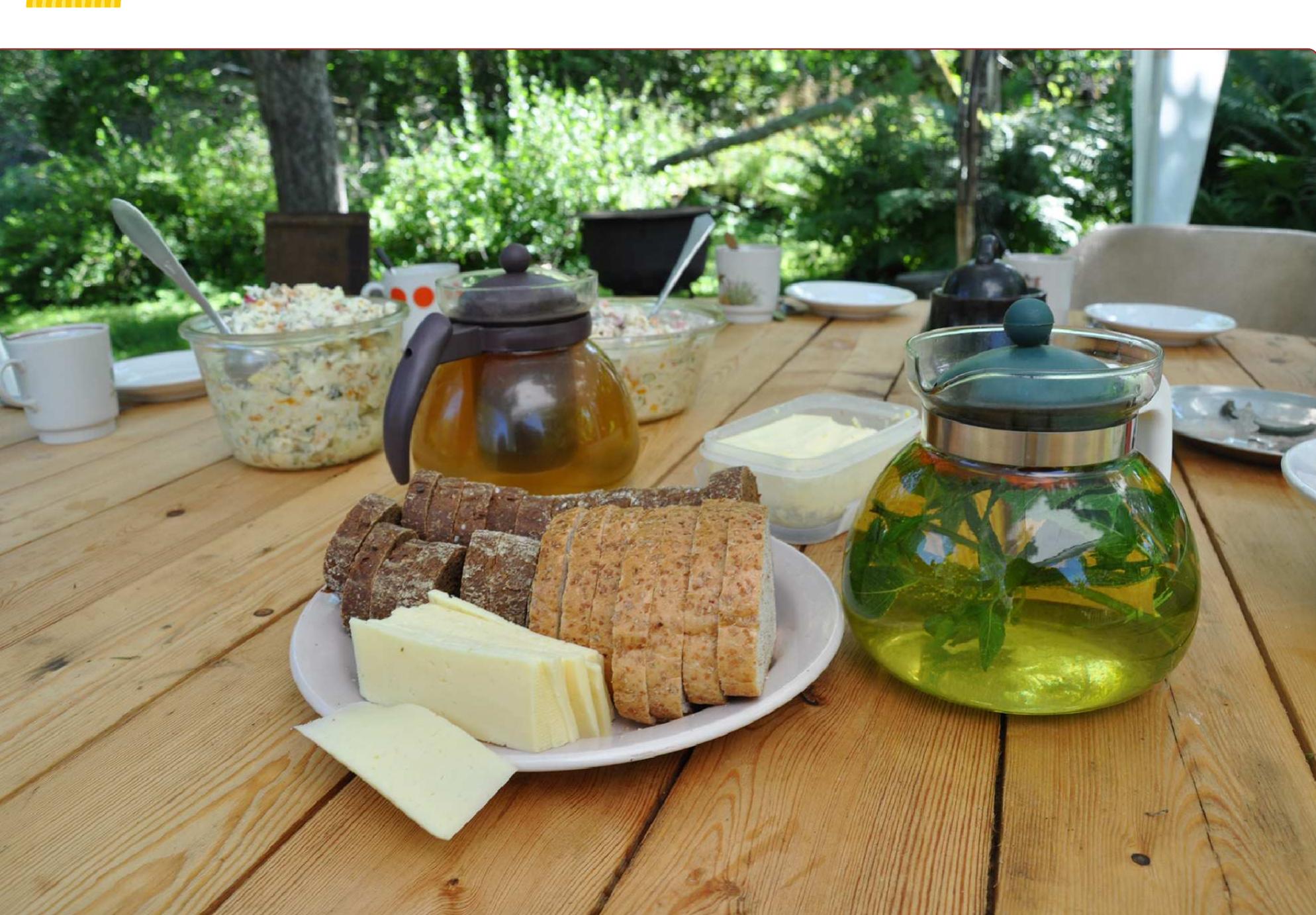Figure 1 - from Plants used for making recreational tea in