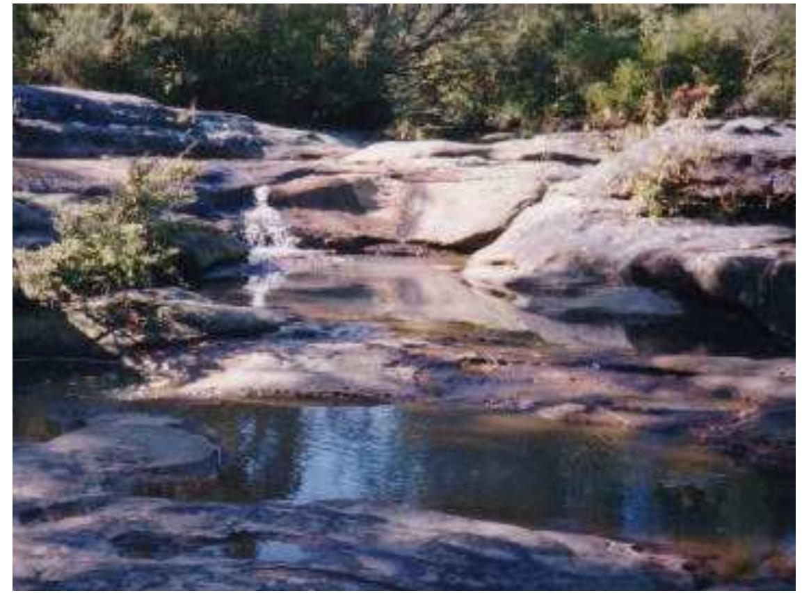 Water Stream Dissection Figure 4 - MANLY DAM GALAXIAS ACTION PLAN
