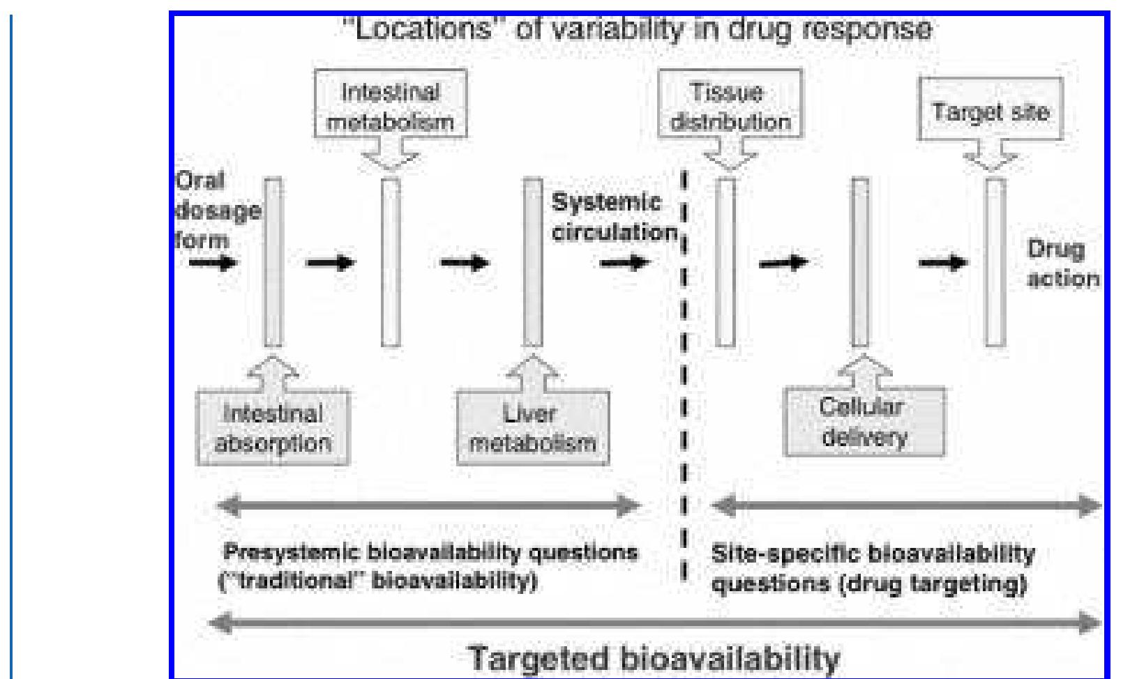 1: schematic representation of barriers encountered by a