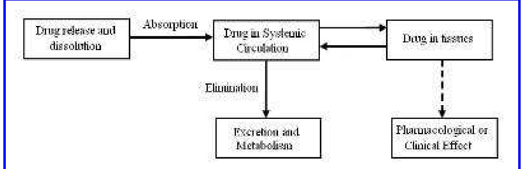 2: schematic representation of drug and its pharmacological