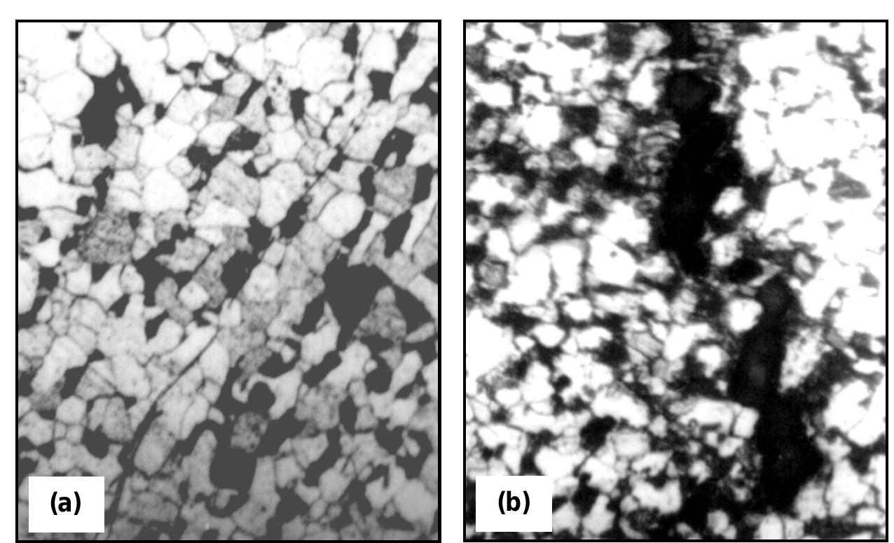 Inner Layer Inclusions - hydrogen damage mechanism of boiler water wall tube in the