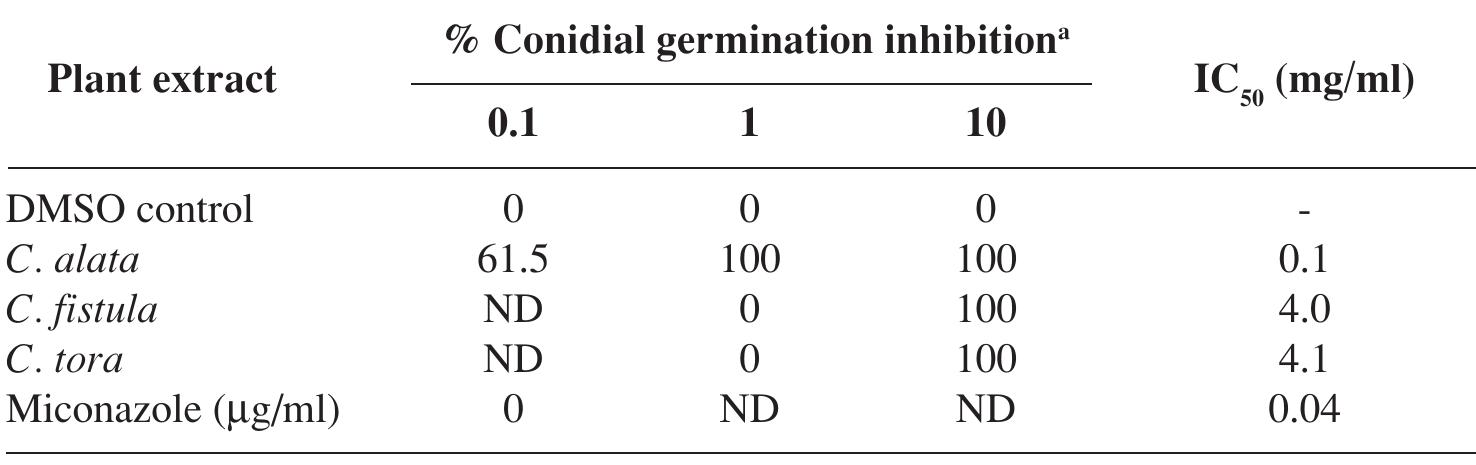 (PDF) Antifungal activity from leaf extracts of Cassia alata L., Cassia ...
