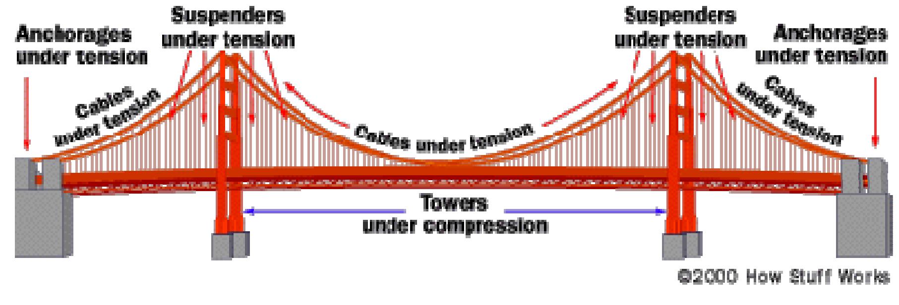 (PDF) The Construction of a Suspension Bridge