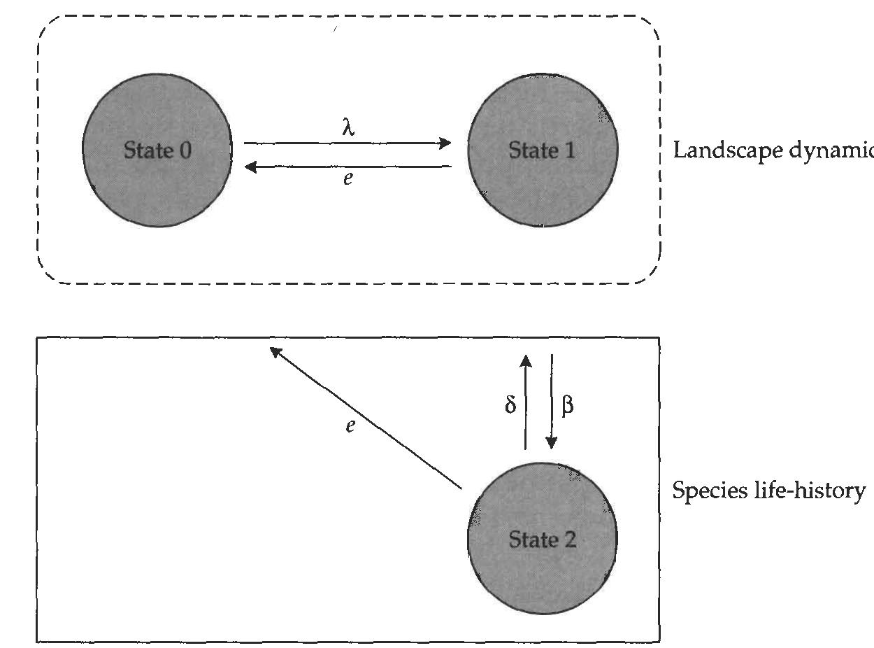 6 schematic representation of the model developed by keymer