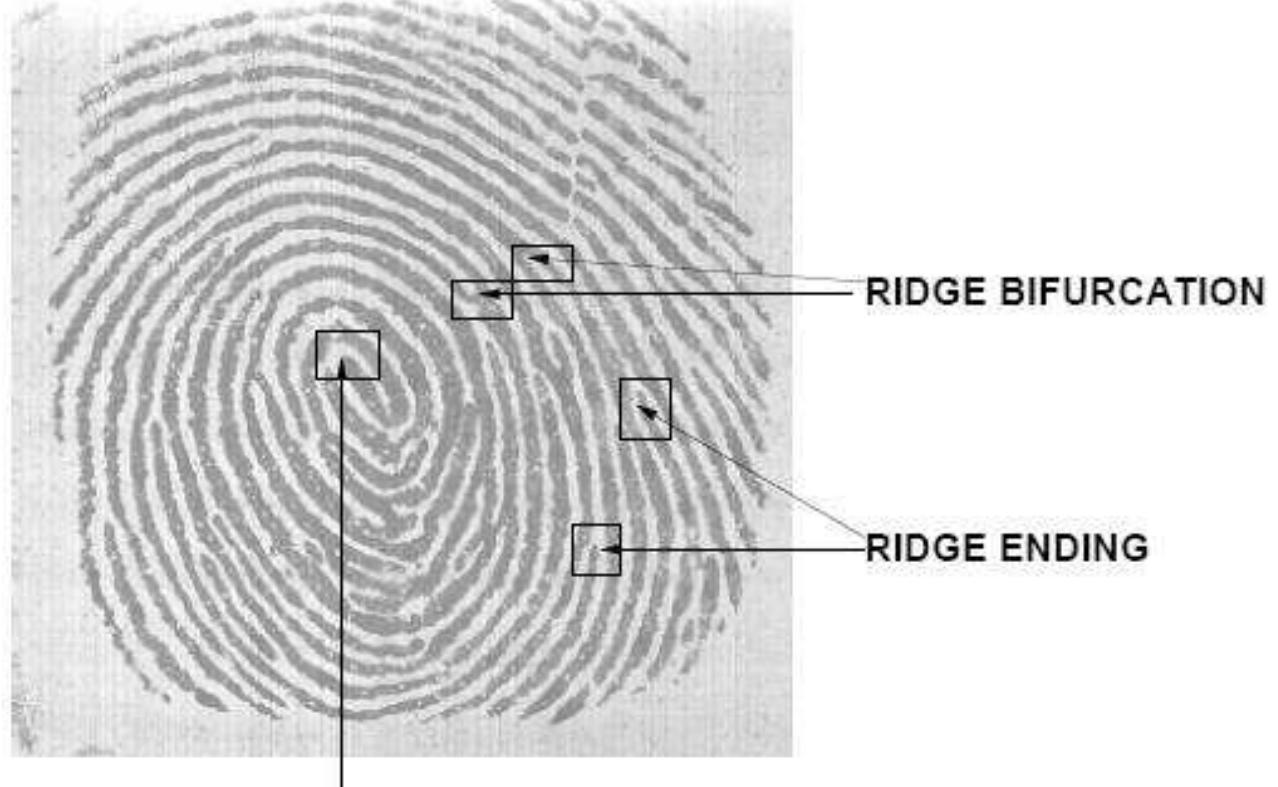 Figure 4 - from Fingerprint Recognition using MATLAB