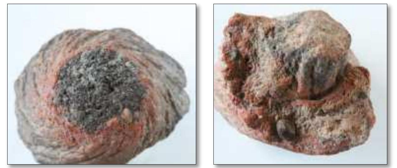 Clay Inclusions Arrow-shaped conical rollers with tail missing (cat. #31088,