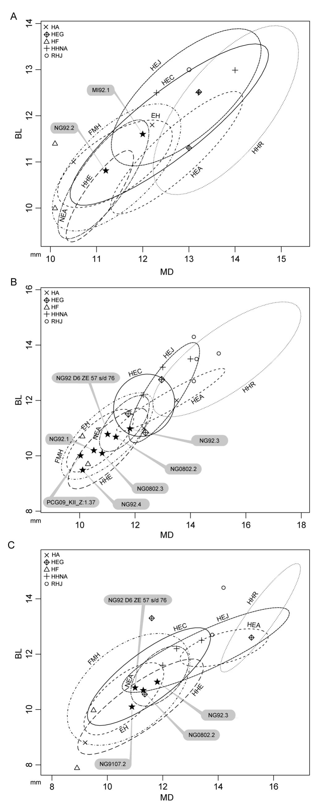 Figure 3. MD vs. BL diameter plots for the LM1 (A), LM2 (B) and LM3 crowns (C) from the new Javanese fossil human dental sample compared to the figures from thirteen extant and fossil human samples represented by 95% confident equiprobable ellipses. The specimens NG92.3, NG92.D6 ZE 57s/d 76 and NGO802.2 