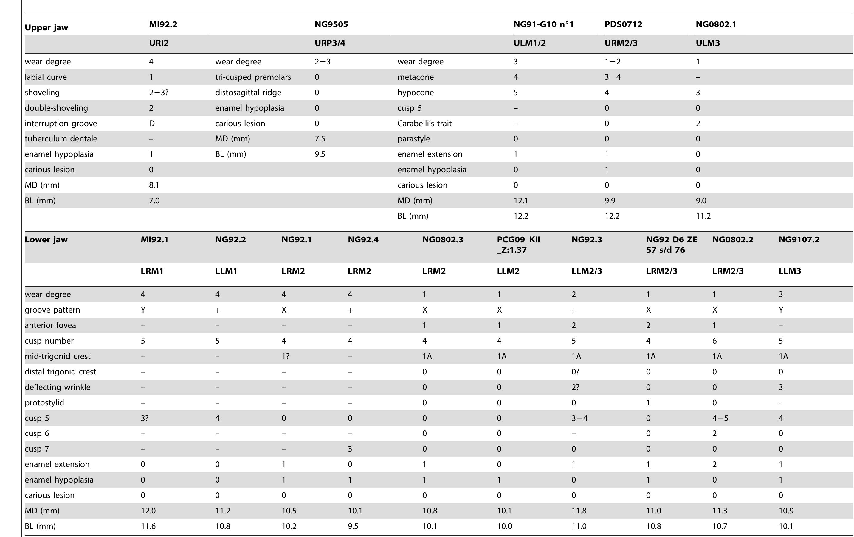 doi:10.1371/journal.pone.0067233.t001  Table 1. Individual non-metric crown features and dimensions of the new Javanese fossil human dental sample. 