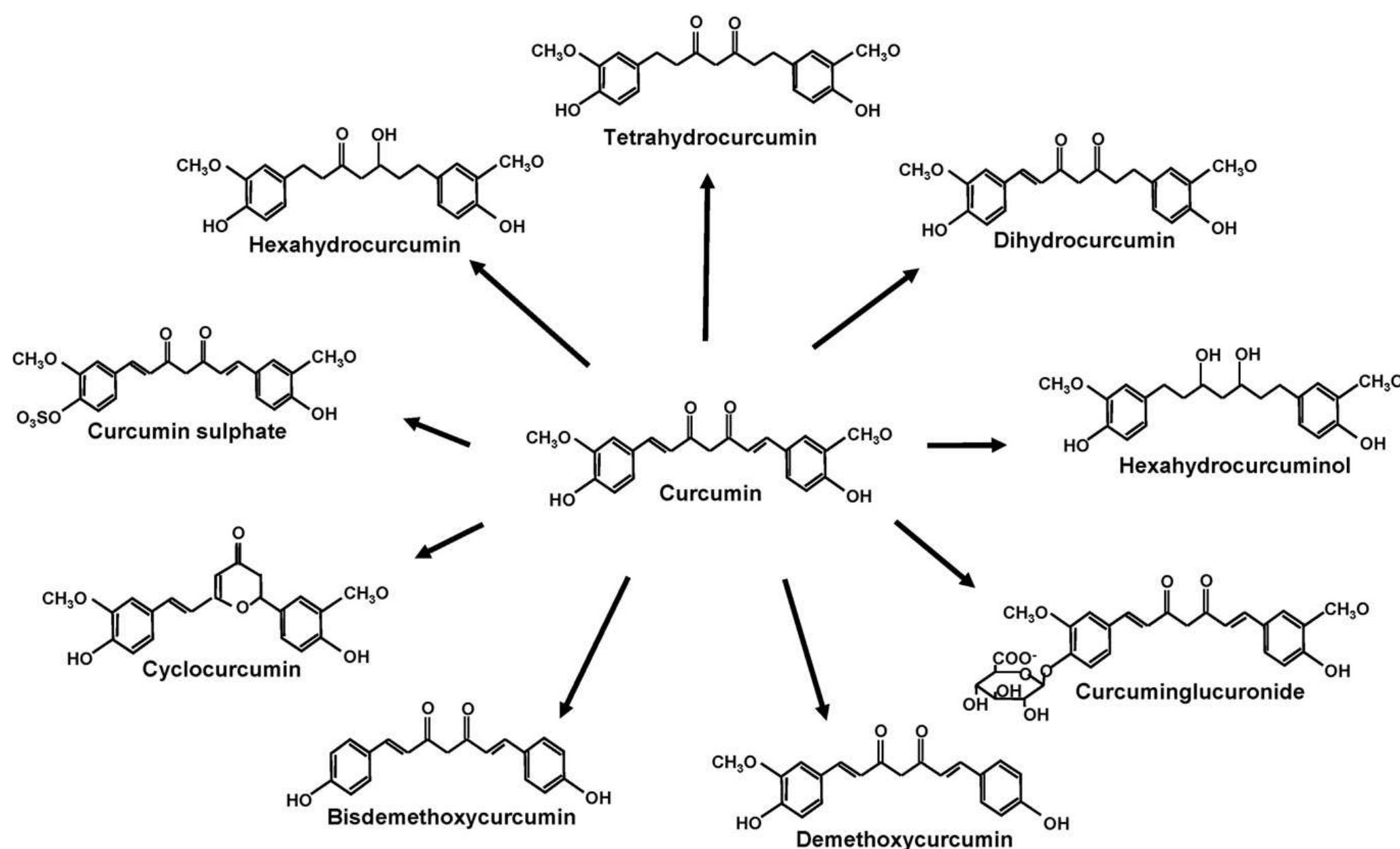 (PDF) Biological activities of curcumin and its analogues (Congeners ...