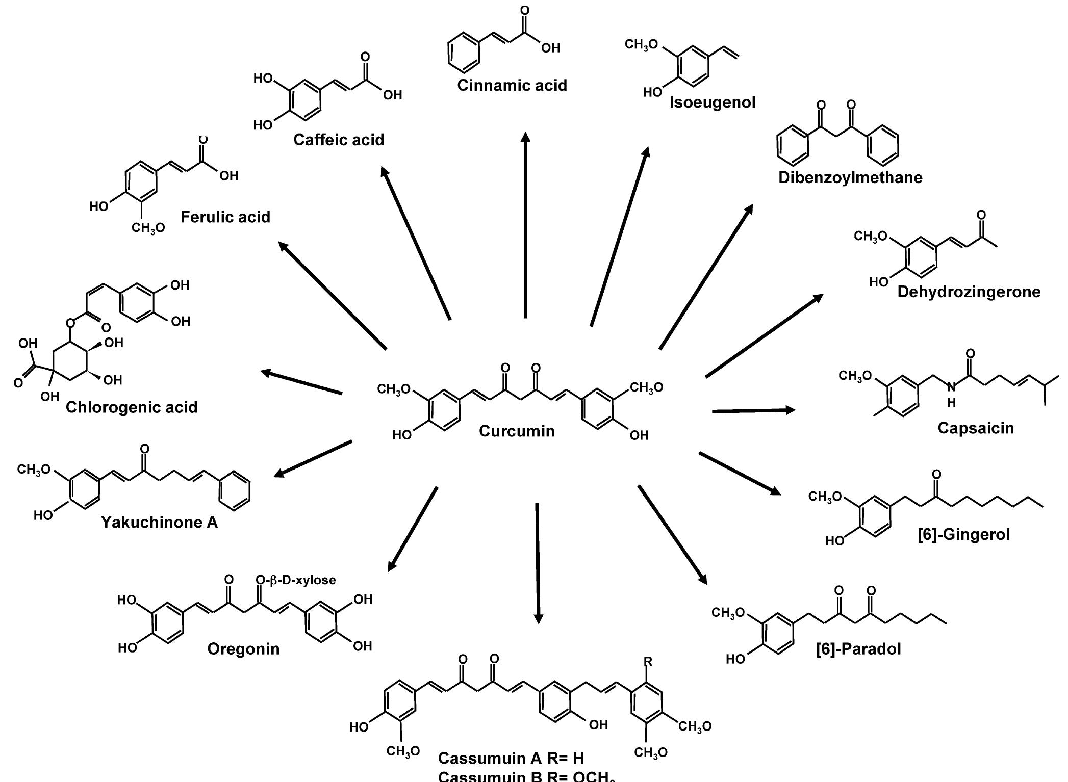(PDF) Biological activities of curcumin and its analogues (Congeners ...
