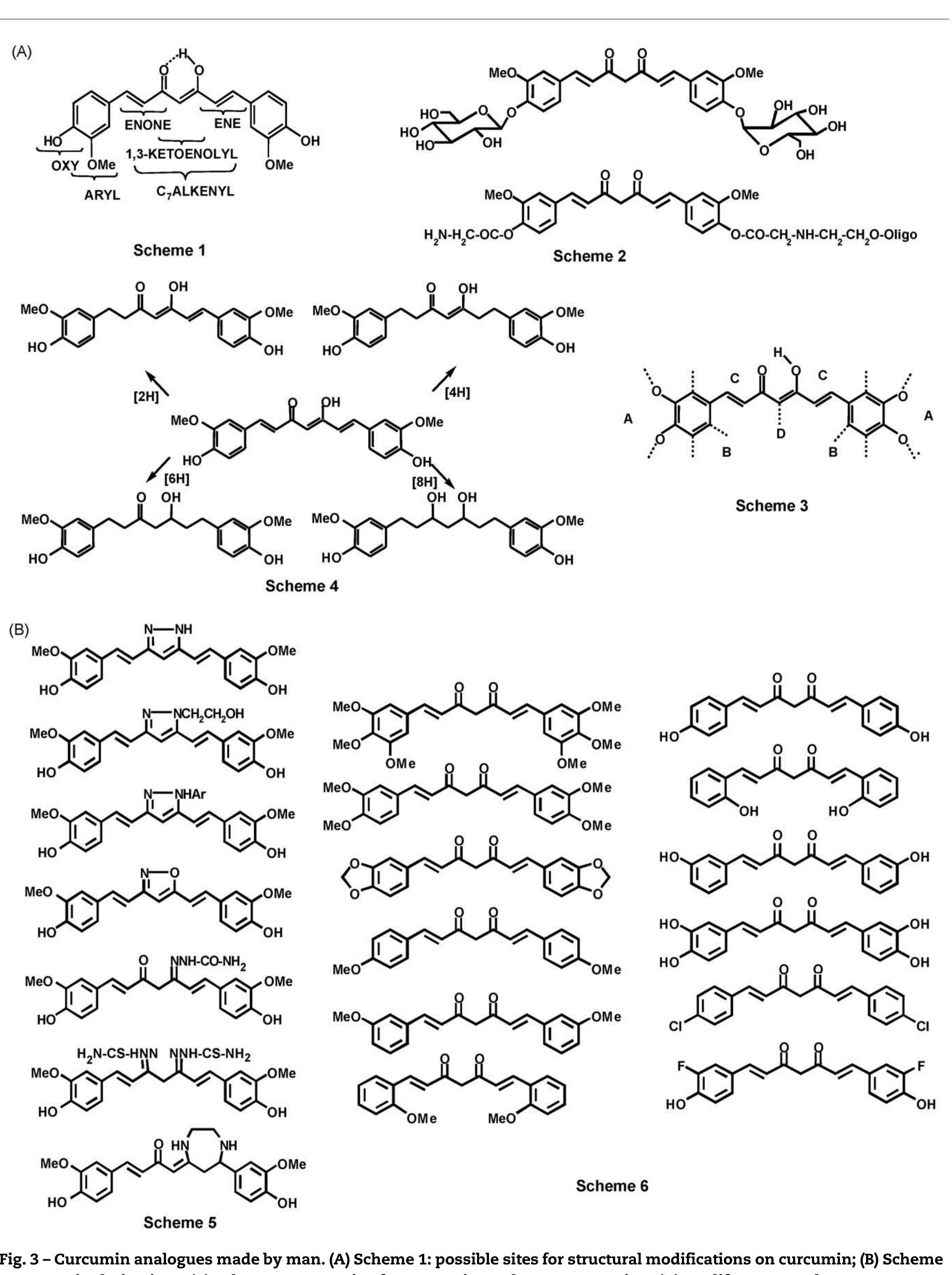 (PDF) Biological activities of curcumin and its analogues (Congeners ...