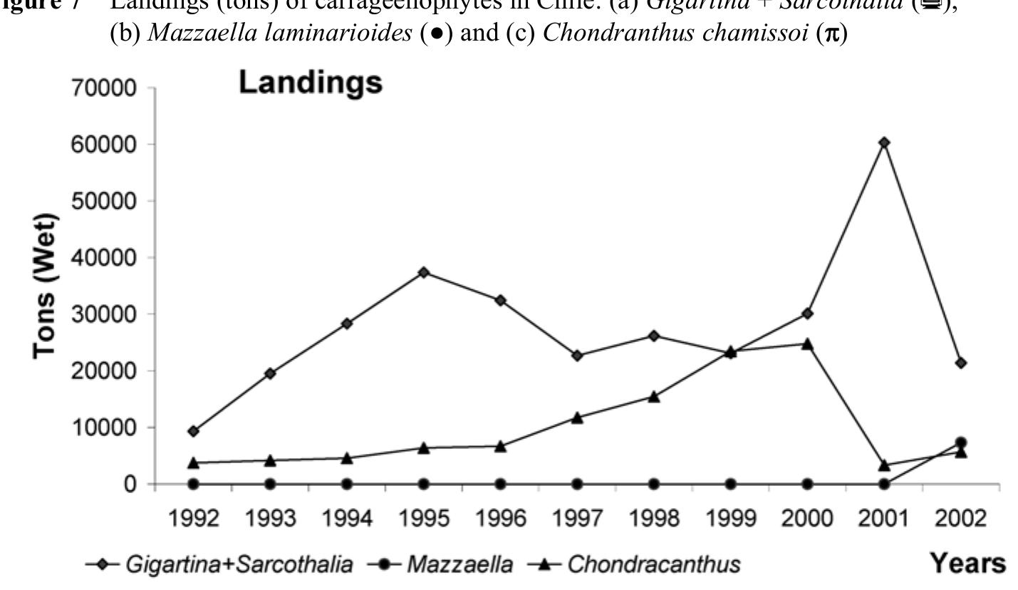 (PDF) Seaweed future cultivation in Chile: perspectives and challenges