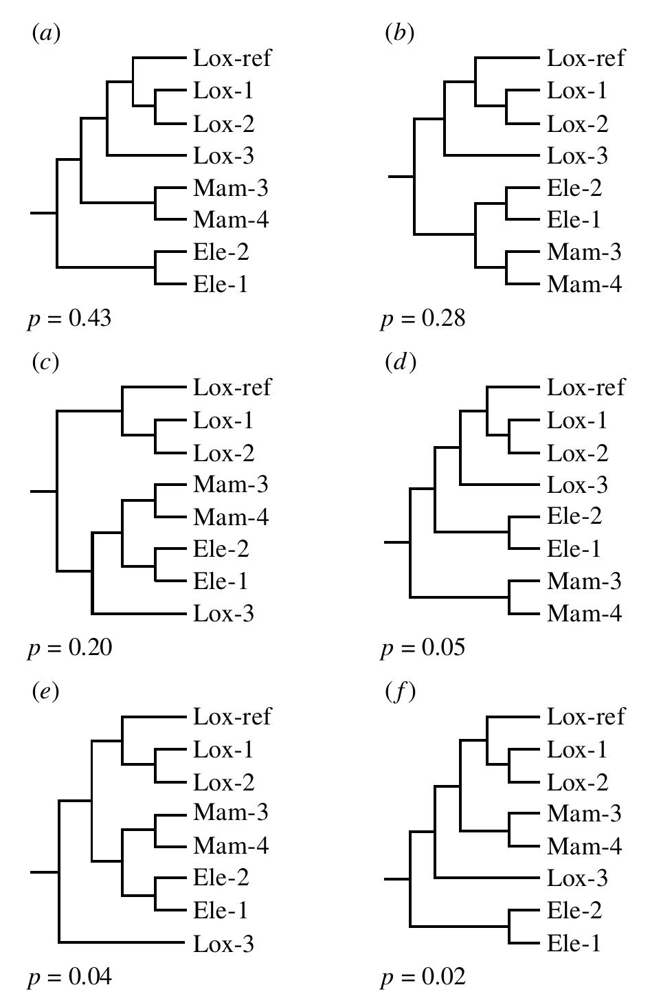 Posterior probabilities () for the six highest-scoring tree