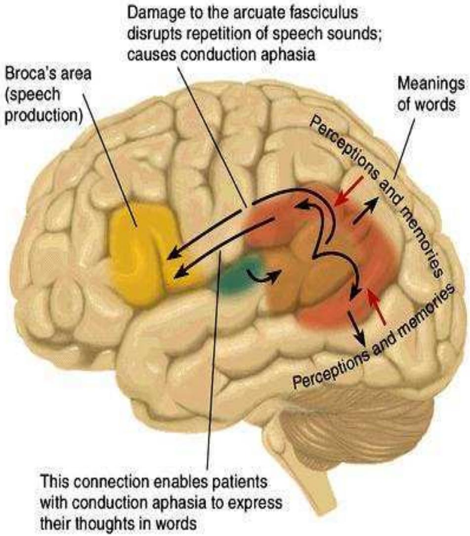 Figure 6 - from LECTURE NOTES ON LANGUAGE AND COMMUNICATION