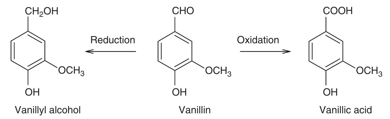 5. the bioconversion pathway of vanillin in saccharomyces