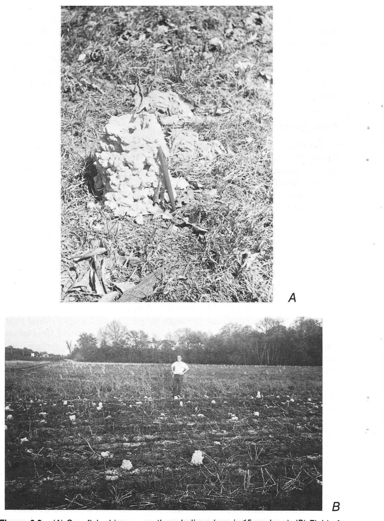 Figure 8 - from A Survey of Disturbance Processes in
