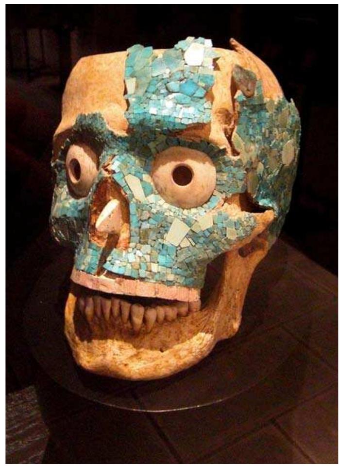 lecorated and which were not on the basis of Caso’s description of the find Caso 1969: 62-9). This problem of reconstruction is compounded by the fact hat parts of the skull had collapsed before Caso excavated Tomb 7. Nonetheless, he skull, which was restored and is on display in Oaxaca, today has mosaic oth on the face and on the side of the skull. In addition, given the number of nosaic plaques that were found associated with the skull, it seems probable that nuch of the skull was covered. Also, Caso mentions that parts of the skull had ests of adhesive on them (Caso 1969: 63). I concede that all these details from “aso’s description constitute only indirect evidence, not conclusive proof that he skull was originally covered entirely with mosaics. However, this is not the nost important difference between the Tomb 7 skull and the unprovenanced nosaic skulls. The second, more significant, difference is that while all the nprovenanced objects are entire skulls that have not been worked, except for heir decoration, the Tomb 7 skull has the top of the cranial vault cut away nd all openings of the skull sealed. These alterations to the cranium have led cholars to suggest that this skull may have been used as a cup (Caso 1969:66-7), censer (McCafferty and McCafferty 1994:144) or a resonance chamber (Urcid 010:190). Naturally, since the unprovenanced skulls lack these alterations, hey cannot have served any such function (cf. Urcid 2010). This means that vhile the Tomb 7 mosaic skull proves that the practice of decorating human rania with turquoise mosaics existed, it cannot be cited in proof of the existence n pre-Columbian Mesoamerica of the type of mosaic skull under discussion ere, since different functions are involved. In other words, the basic decorative lements of the two types of mosaic skulls are the same, but from a functional 