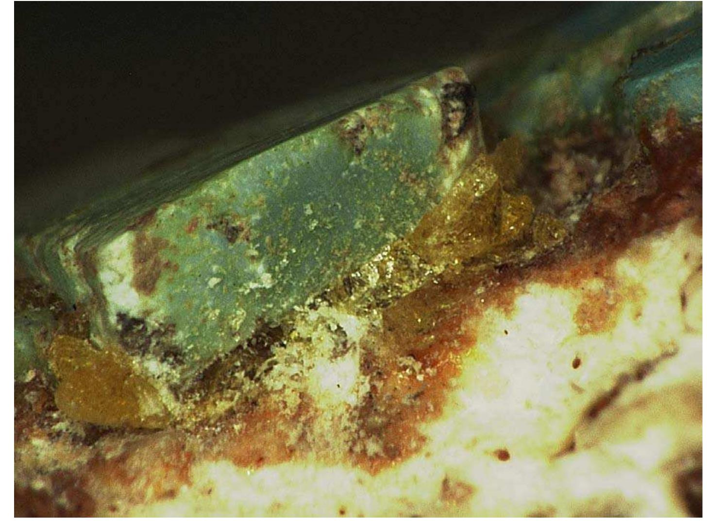 that the individual had lived in a drier, inland, higher altitude region of volcanic bedrock geology in the early years of life, on a diet that most probably consisted largely of maize as a staple crop. The ranges were similar to known ranges from southwest Mexico, and the Valley of Oaxaca was one of the places in Mesoamerica in which a combination of these isotope values would be expected to occur (Laffoon 2013). Naturally, this conclusion is very much in line with what would be expected for a Mixtec individual. 
