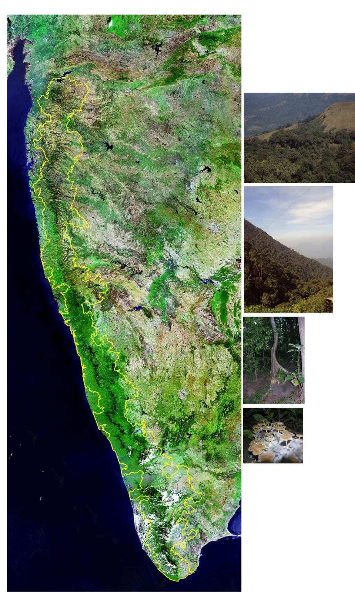 PDF) kasturirangan report-western ghat conservation bill | Academia