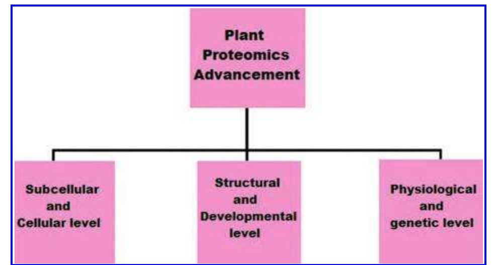 PDF) Plant stress physiology and molecular biology
