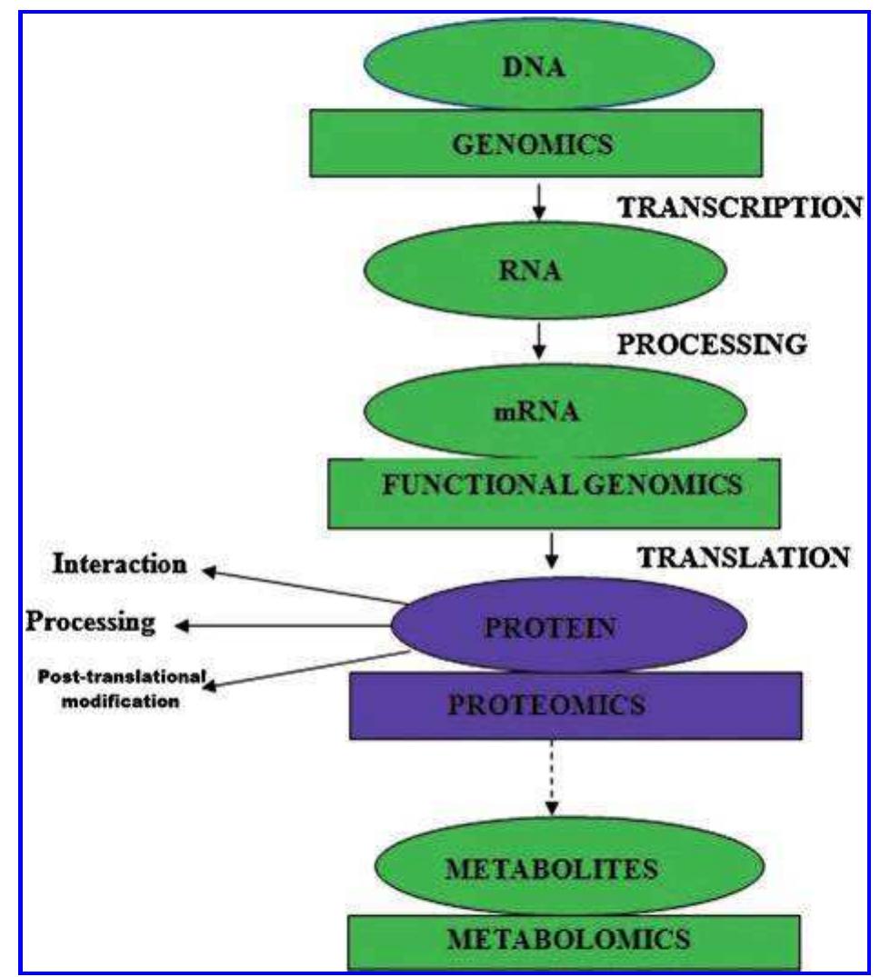 THE REAL McCOY'S A-2　No.30-1415 PDF) Plant stress physiology and molecular biology