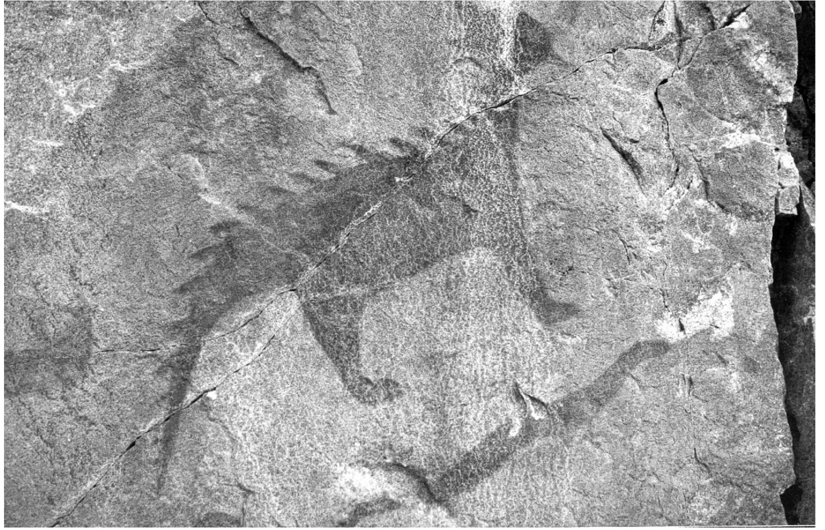 Etched Rocks Protection (PDF) Etched in Stone: Ground Stone as a Symbolic Medium