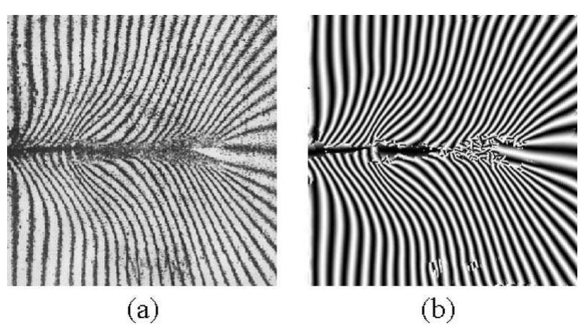 (PDF) Advanced continuous wavelet transform algorithm for digital ...