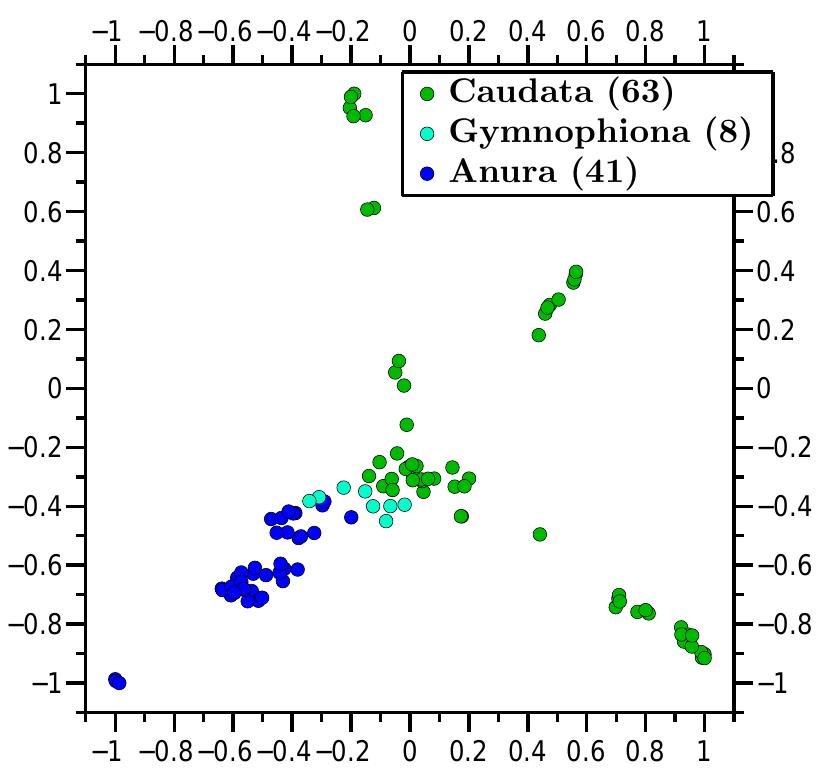 Molecular distance map of class amphibia and three of its