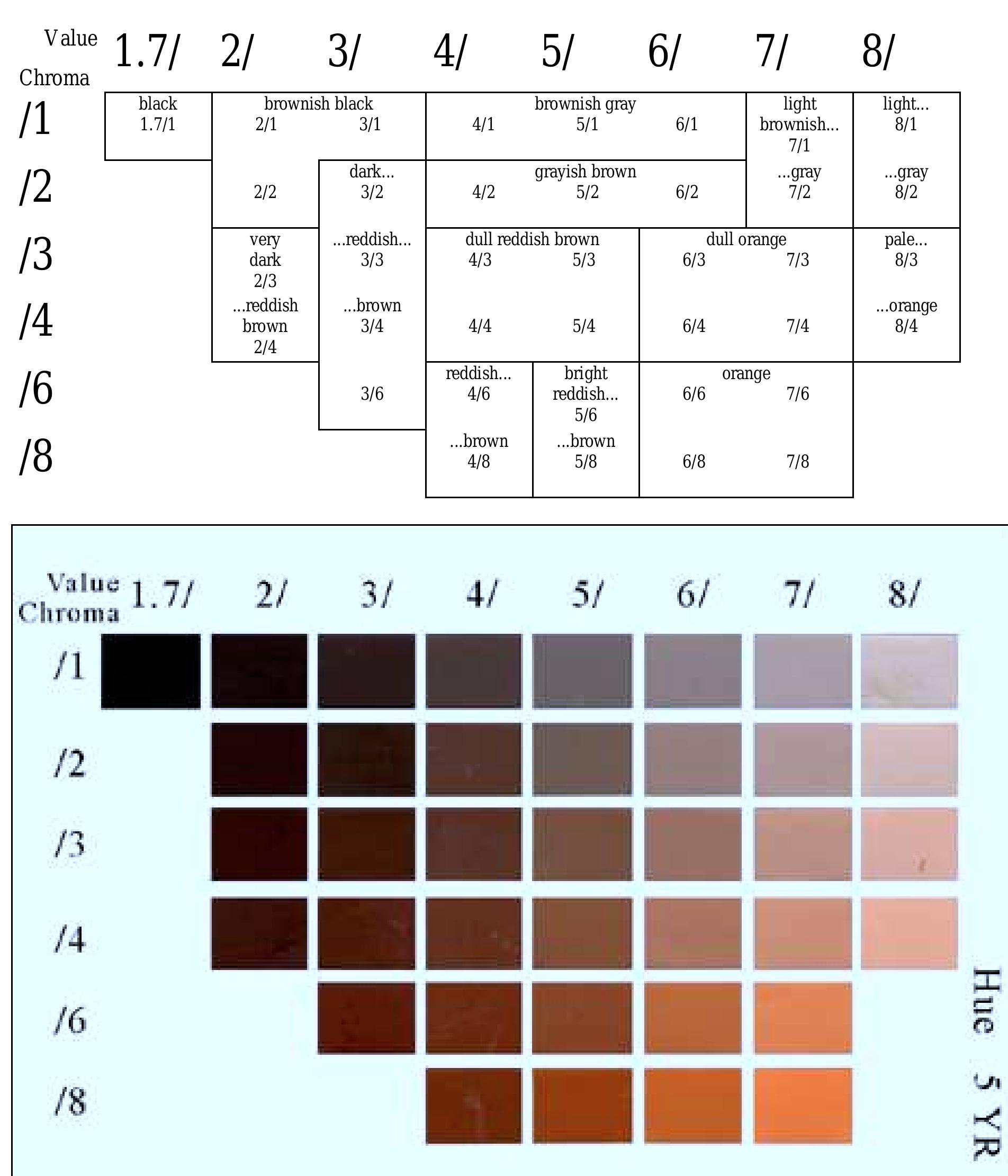 Figure 4 Tabla Munsell Digital