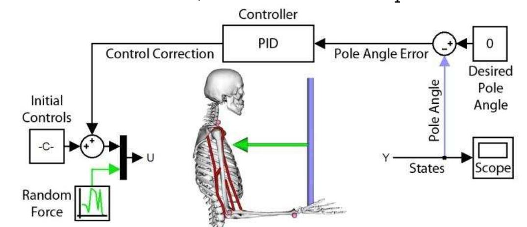 Figure 1 - DYNAMIC SIMULATION OF MOVEMENT BASED ON OPENSIM