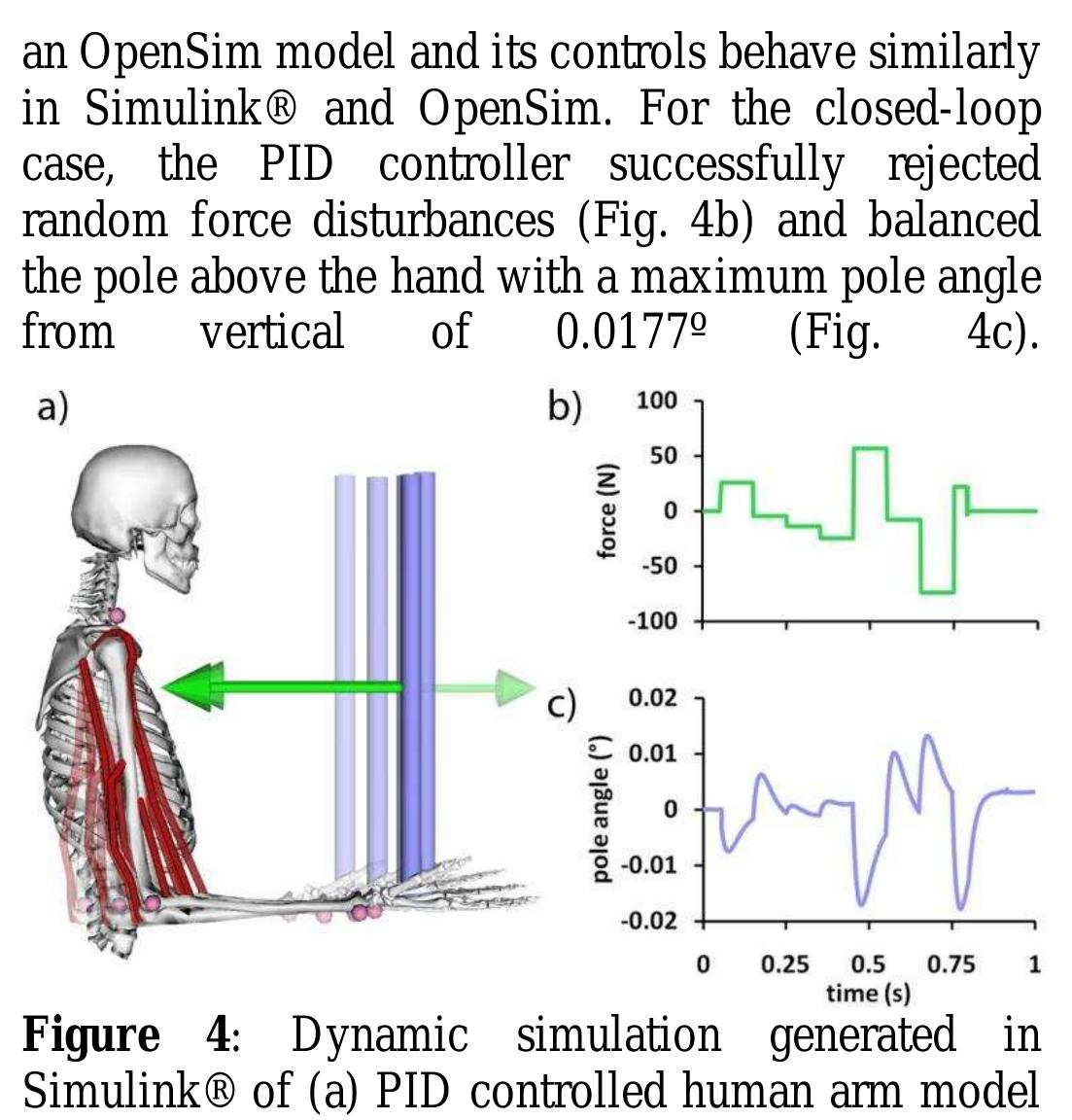Figure 1 - DYNAMIC SIMULATION OF MOVEMENT BASED ON OPENSIM