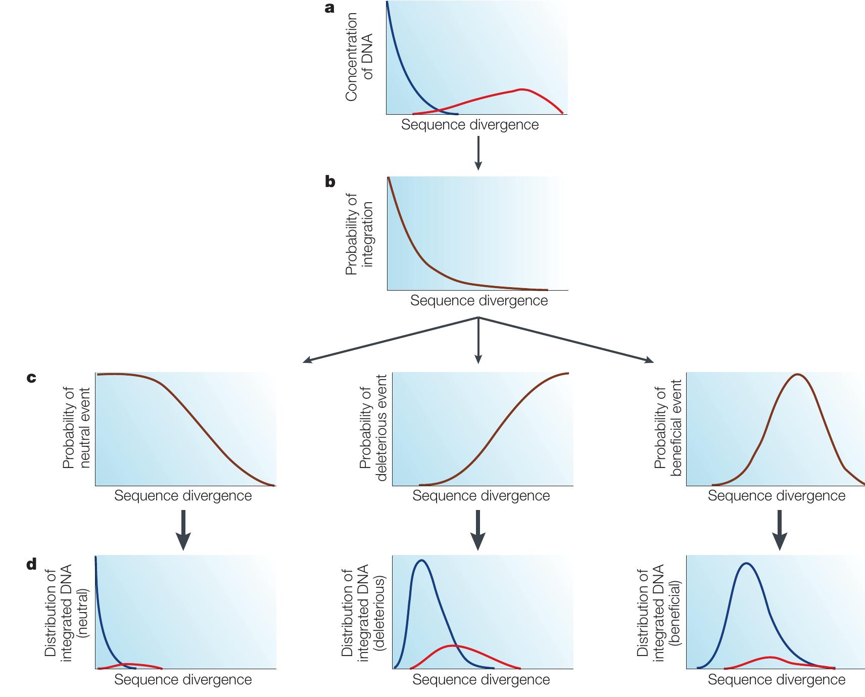 Dna Quantification Graph | the tree of life. a sketch of the tree of life as it is