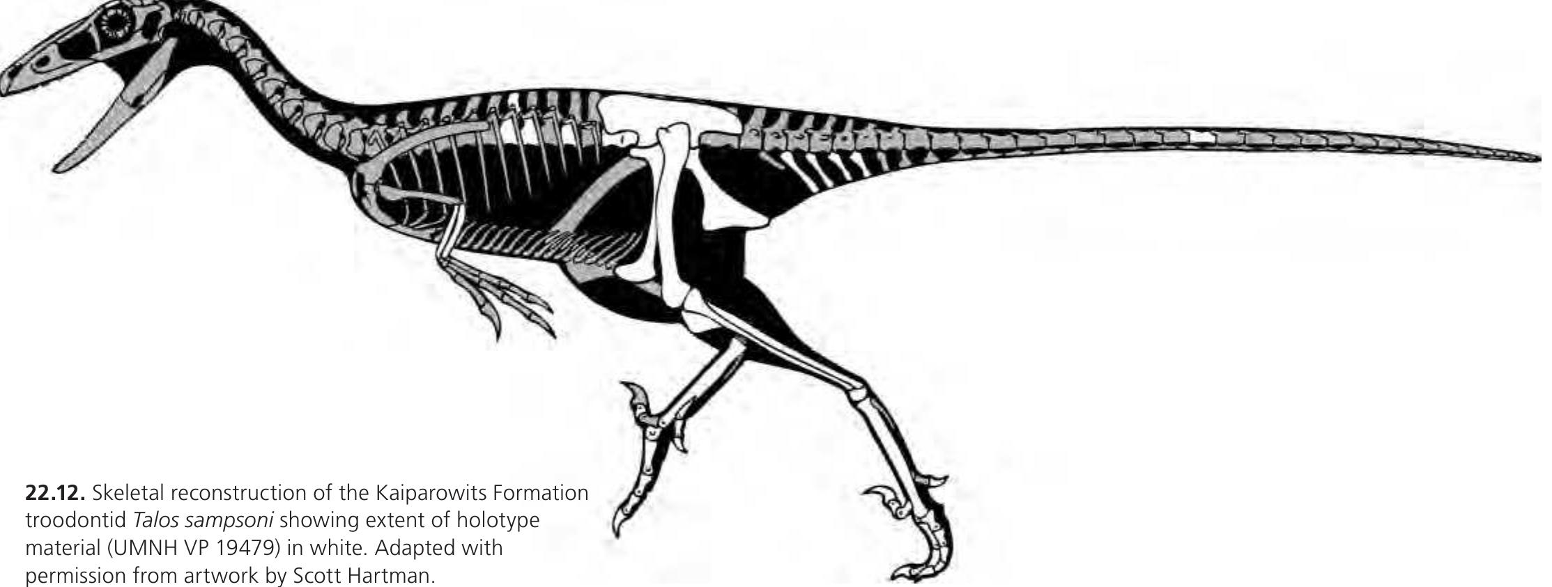 Inosaurus Figure 12 - Late Cretaceous Theropod Dinosaurs of Southern