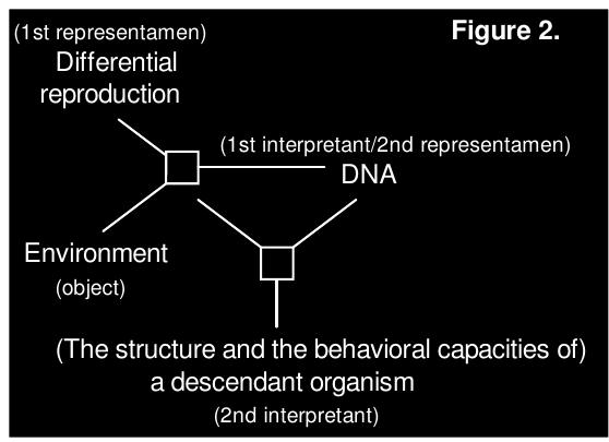 Figure 1 - from Extended concept of knowledge for