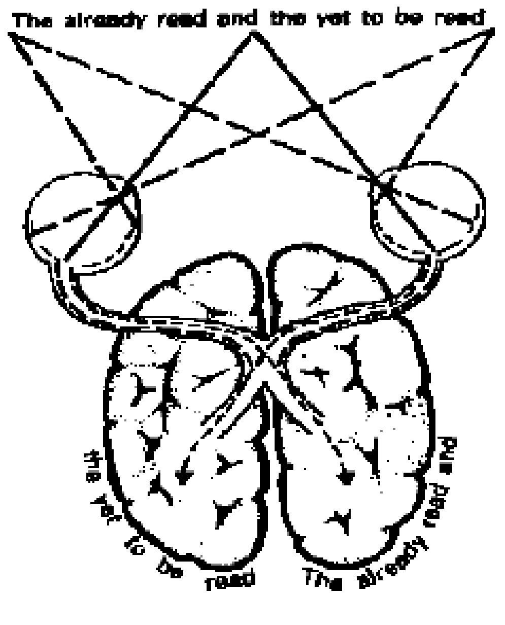 Visual Processing Reading Figure 2 - from The Speed Reading Course The Speed Reading