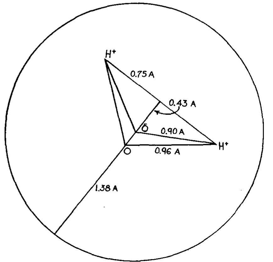 White Blood Cells - HEMATOLOGY - Seen Coarse Condensed Watery Fic Cams Activated Nucleus