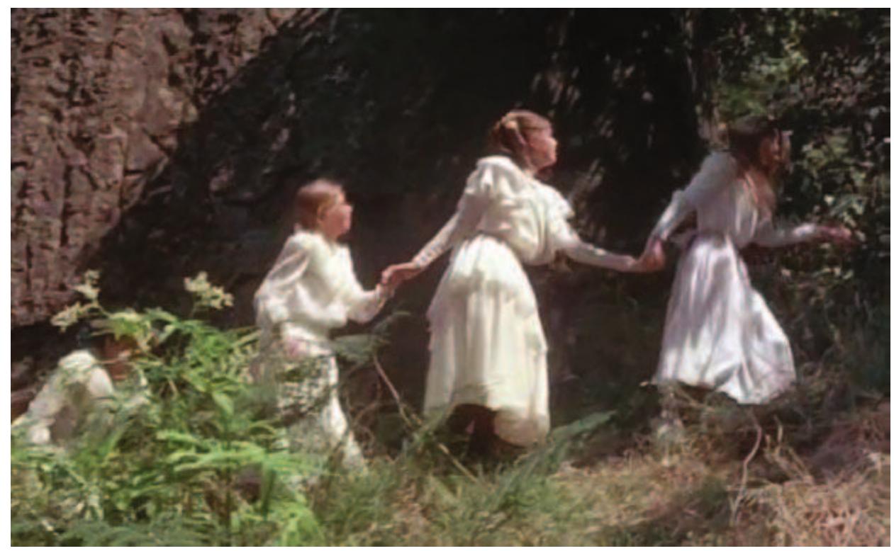 Figure 8: Peter Weir's film Picnic at Hanging Rock (1975).