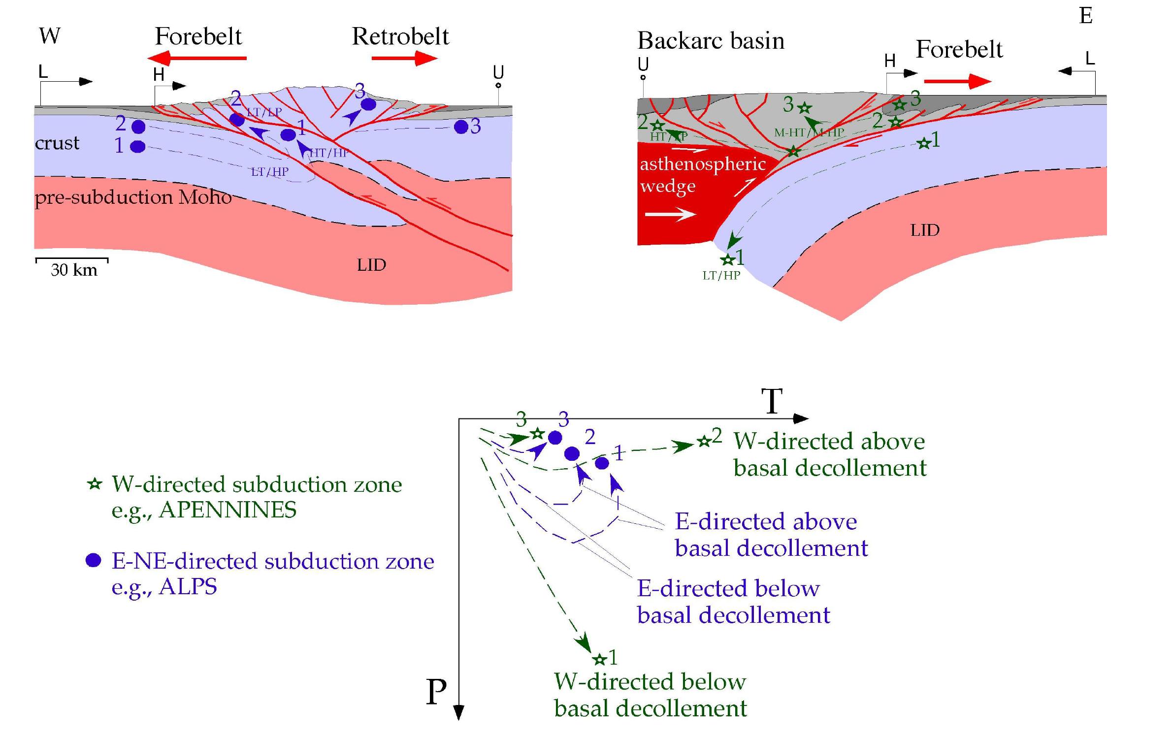 - the two end-members of subduction zones show distinct ptt