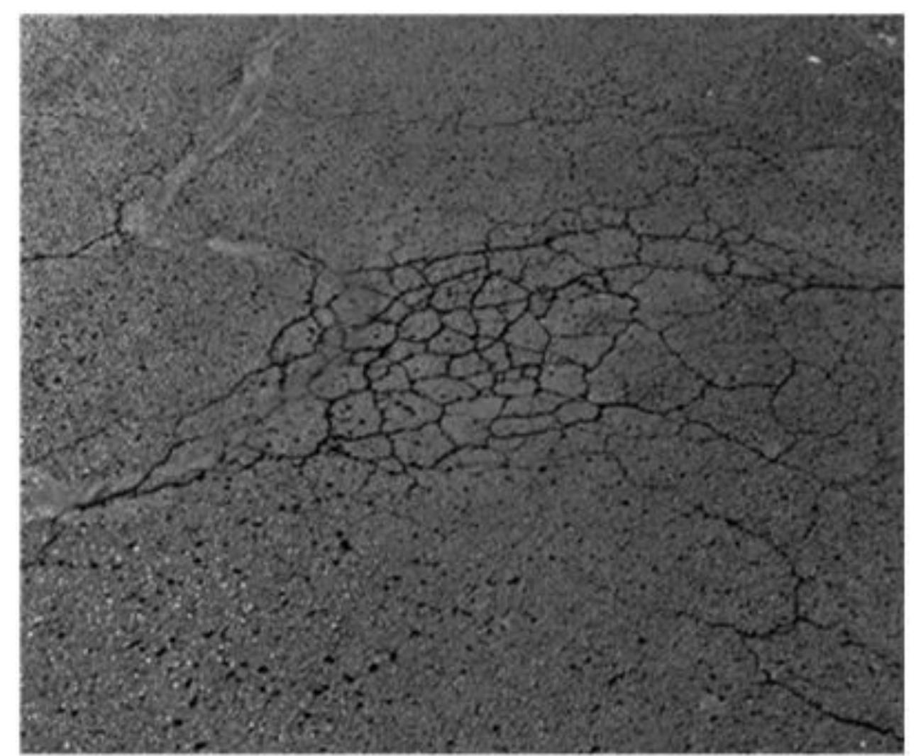 Figure 1. Fatigue crack (Alligator crack). 